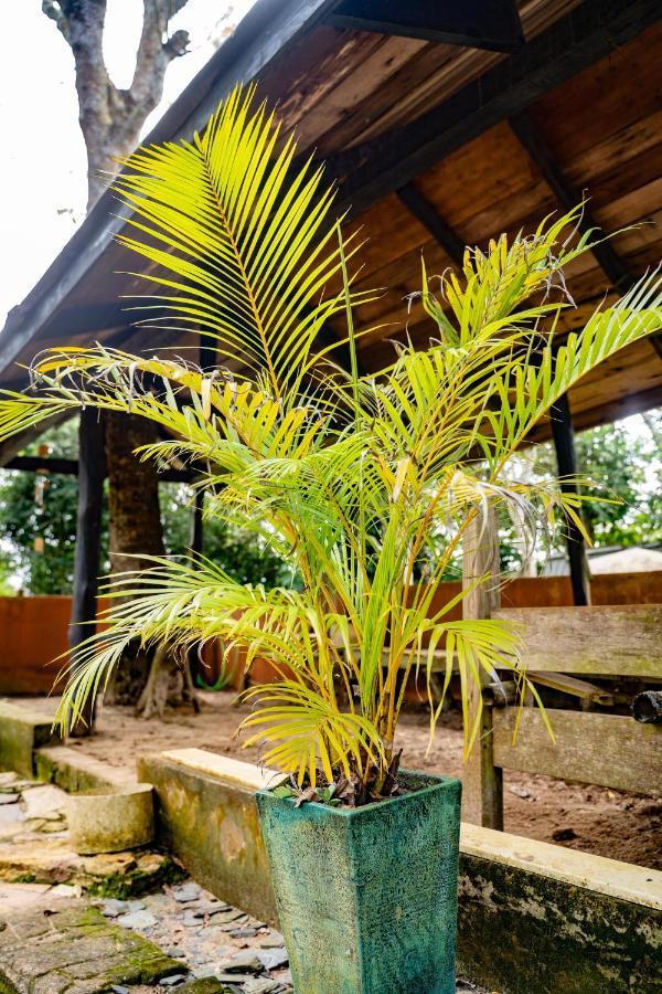 Nature'S Cradle Obosomase エクステリア 写真