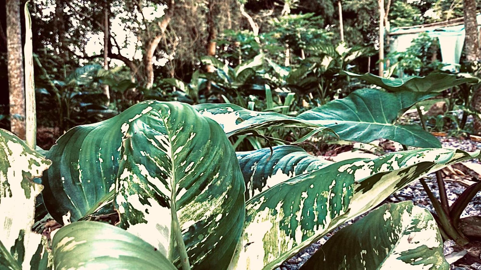 Nature'S Cradle Obosomase エクステリア 写真